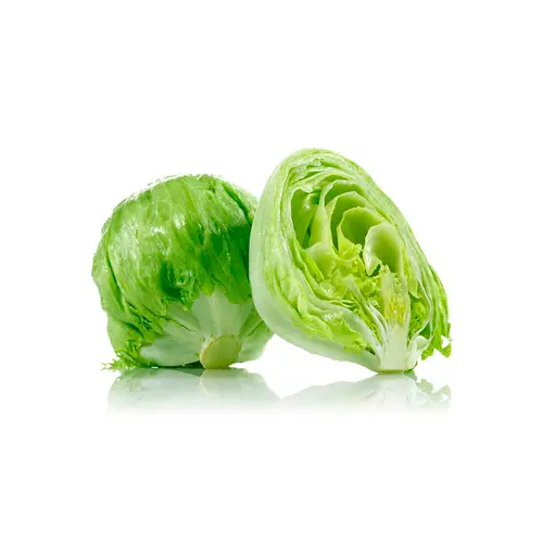 LECHUGA REPOLLADA 