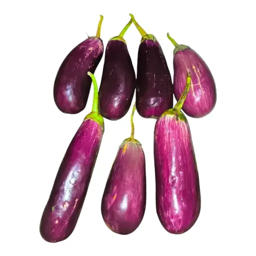BERENJENA