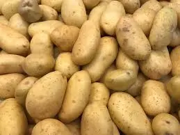PAPA 