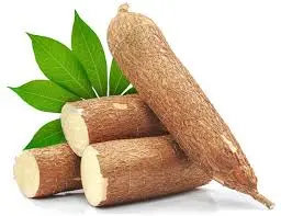 YUCA FRESCA
